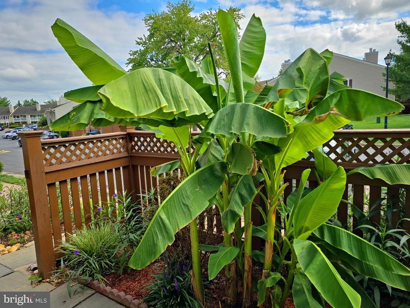 6088 Essex House Sq #6088A, Alexandria, VA 22310
