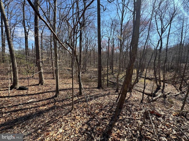 0 Trumps Hill Rd, Upper Marlboro, MD 20772