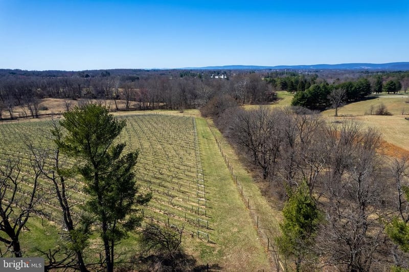 39892 Hedgeland Ln, Waterford, VA 20197