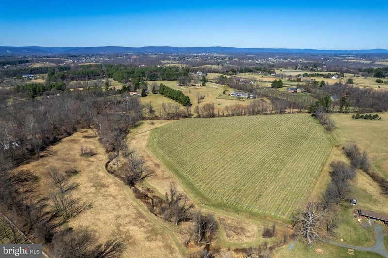 39892 Hedgeland Ln, Waterford, VA 20197