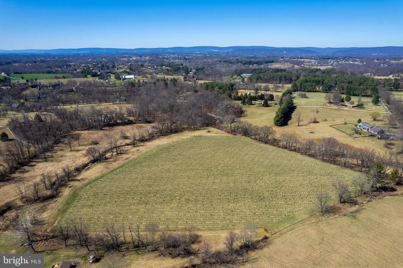39892 Hedgeland Ln, Waterford, VA 20197