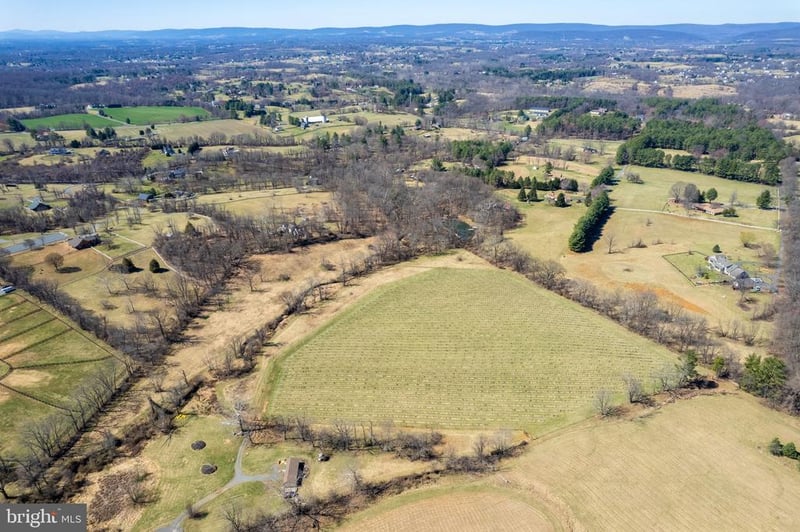 39892 Hedgeland Ln, Waterford, VA 20197
