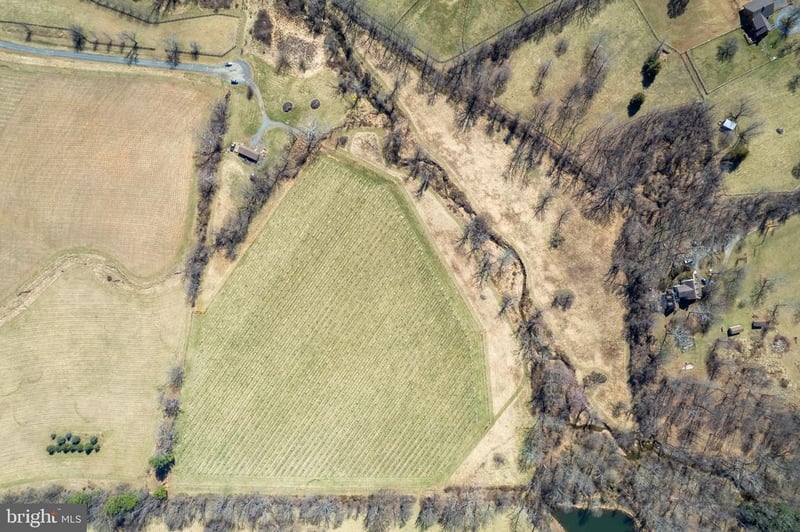 39892 Hedgeland Ln, Waterford, VA 20197