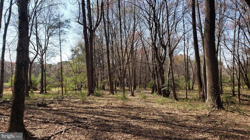 748 Kentland Dr, Great Falls, VA 22066