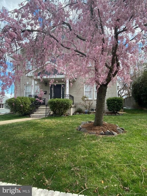 5204 20th St N, Arlington, VA 22205