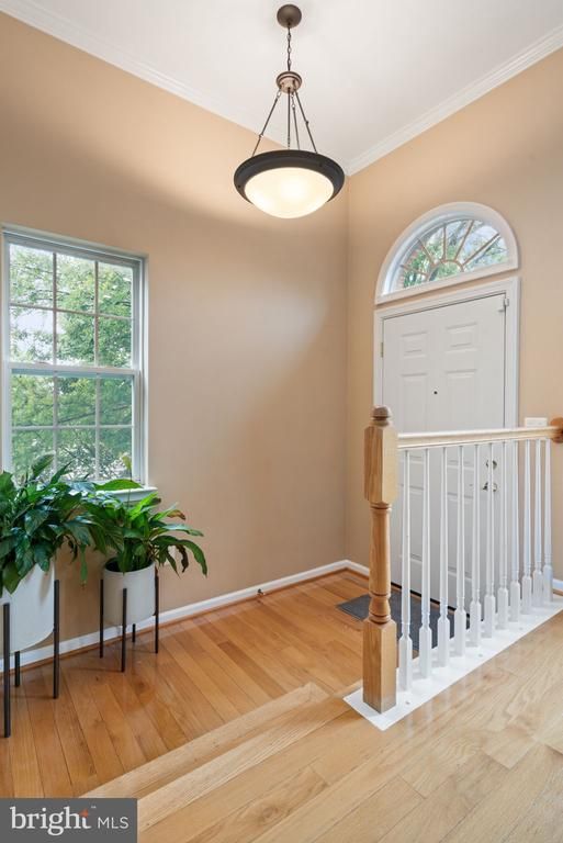 6737 Applemint Ln, Alexandria, VA 22310