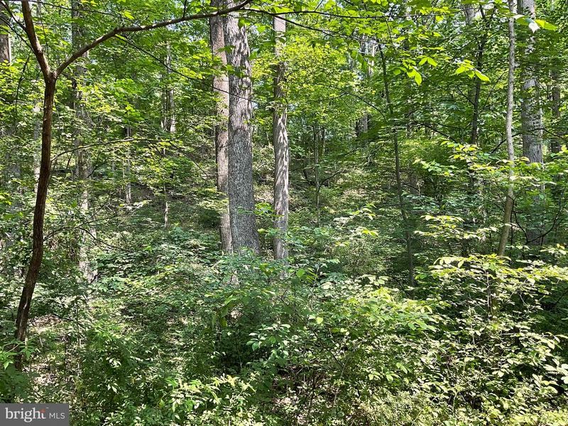 0 Buffalo Rd, New Windsor, MD 21776
