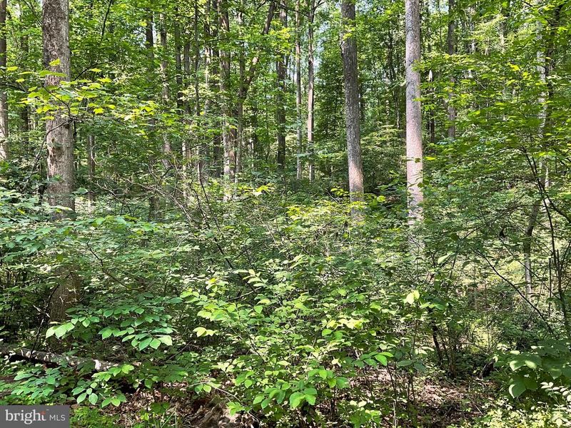 0 Buffalo Rd, New Windsor, MD 21776
