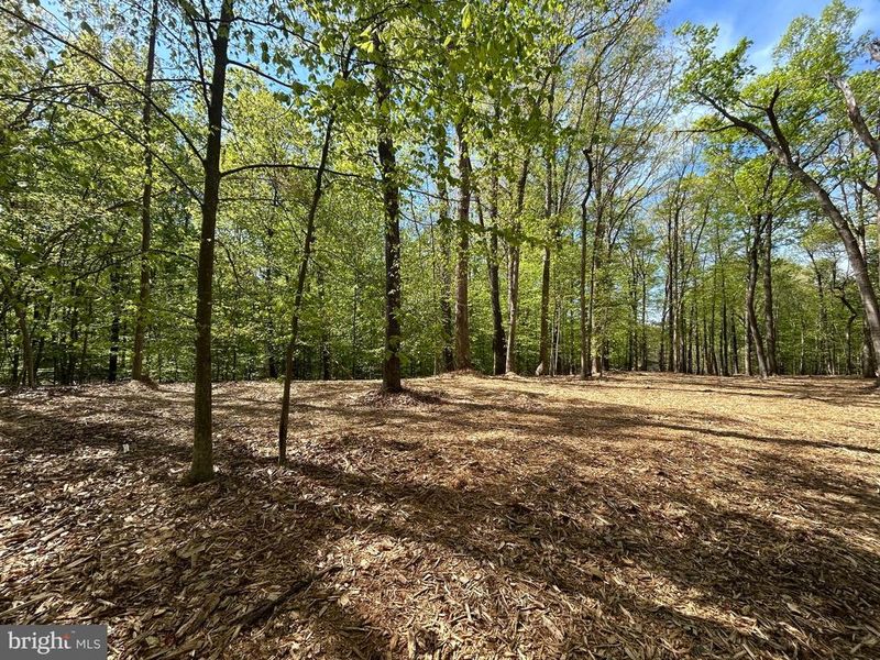12636 Mill Dam Dr, Clifton, VA 20124