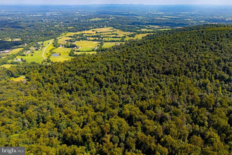 0 Tree Crops Ln, Round Hill, VA 20141