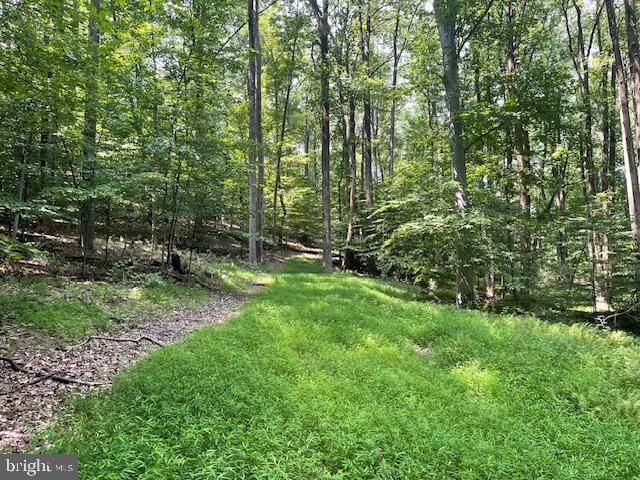 13673 Taylorstown Rd, Leesburg, VA 20176