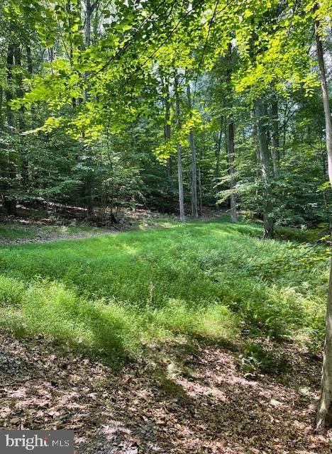 13673 Taylorstown Rd, Leesburg, VA 20176