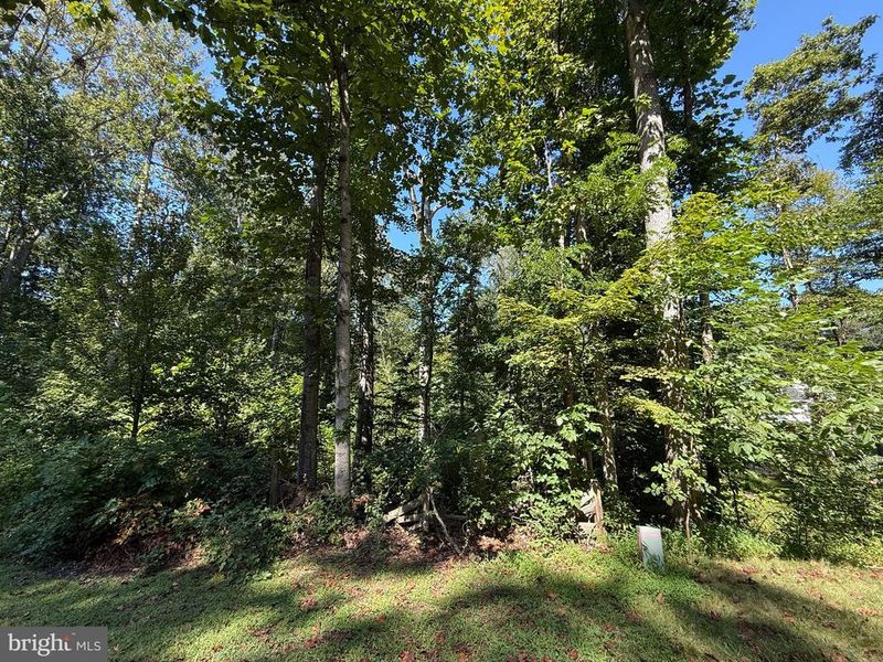 13056 Hyla Dr, Manassas, VA 20112