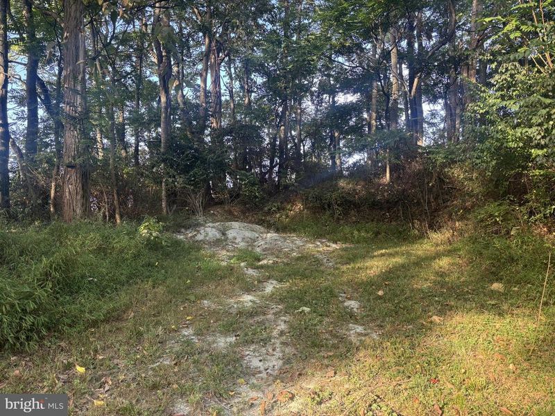 Lot 2 Wolfsville Rd, Myersville, MD 21773