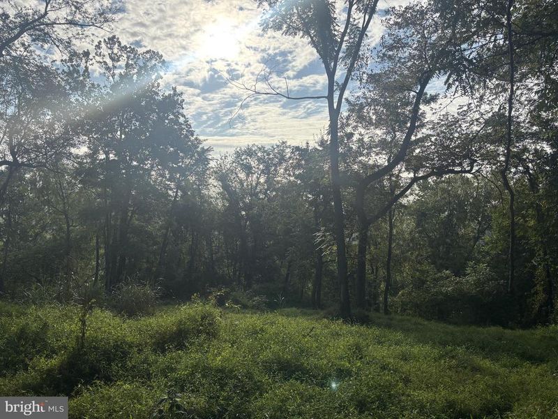 Lot 1 Wolfsville Rd, Myersville, MD 21773
