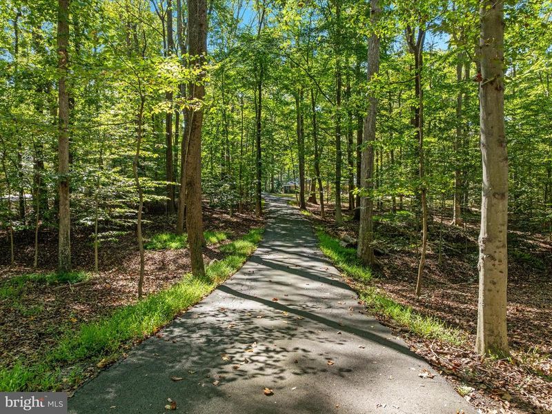 11119 Corobon Ln, Great Falls, VA 22066