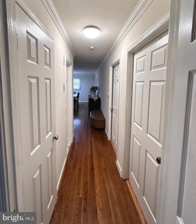 6430 Maplewood Dr, Falls Church, VA 22041