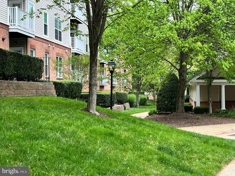 6990 Falls Reach Dr #313, Falls Church, VA 22043