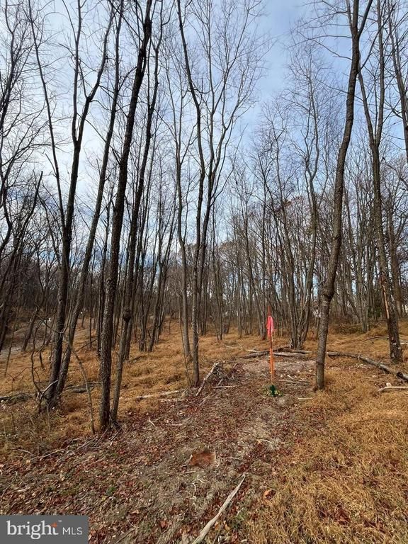6468 General Dr, Mount Airy, MD 21771