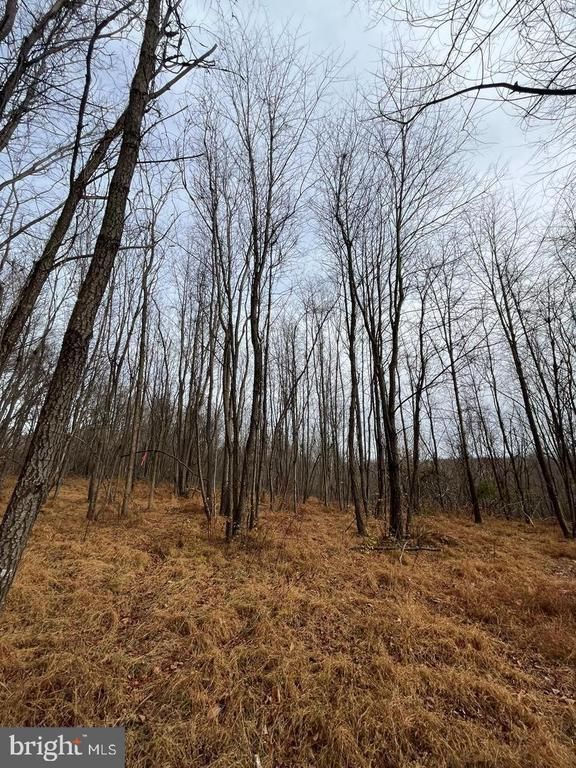 6468 General Dr, Mount Airy, MD 21771