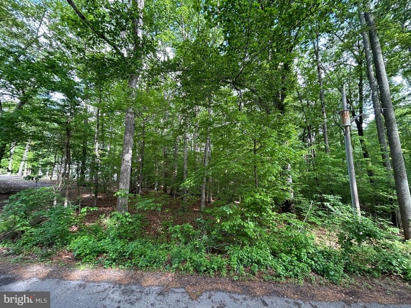 9499 Petterson Ln, Manassas, VA 20112