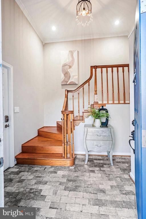 9016 Greylock St, Alexandria, VA 22308