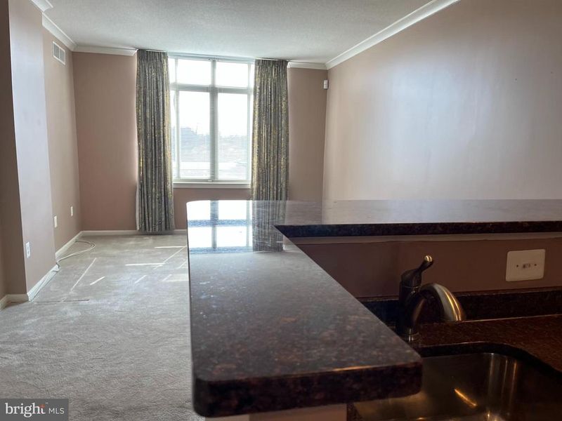 4480 Market Commons Dr #511, Fairfax, VA 22033