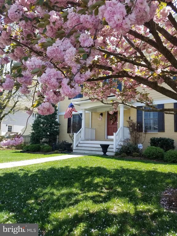 5414 20th St N, Arlington, VA 22205