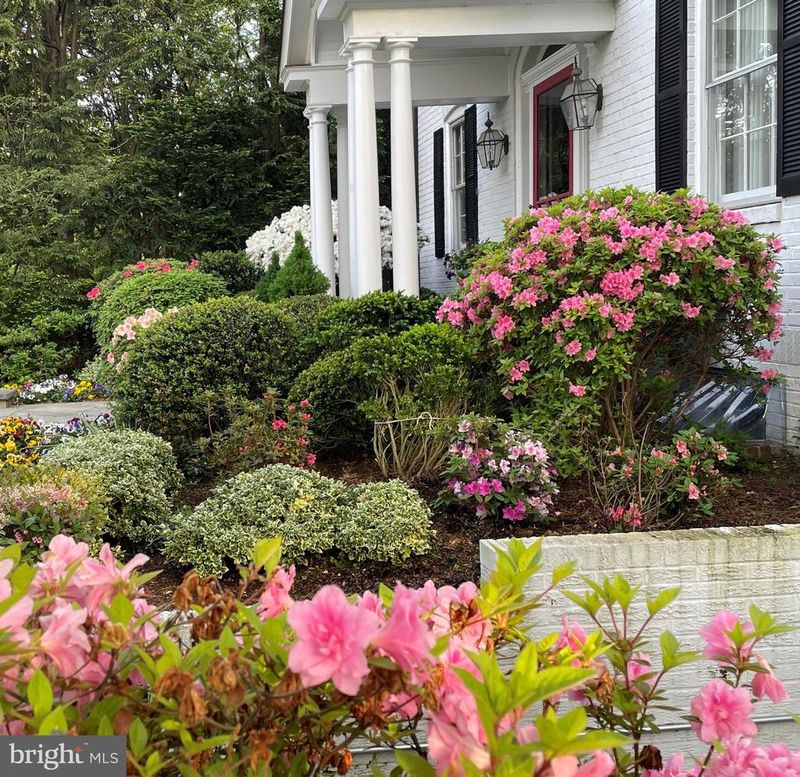 6108 Vernon Ter, Alexandria, VA 22307