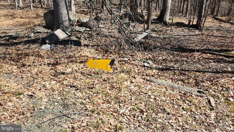 4460 Middlepoint Rd, Myersville, MD 21773
