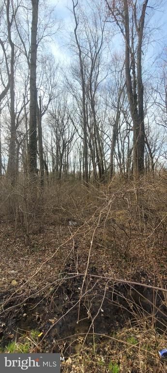 0 Mayo Rd, Mayo, MD 21106
