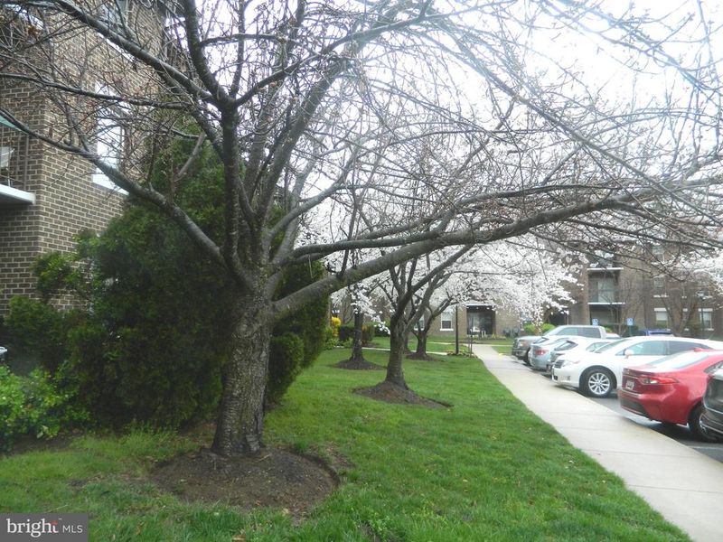 7925 Coriander Dr #12, Gaithersburg, MD 20879