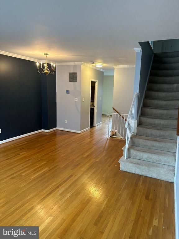 942 S Rolfe St, Arlington, VA 22204
