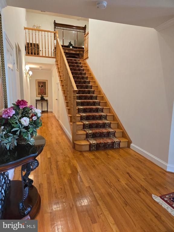 10810 Burbank Dr, Potomac, MD 20854