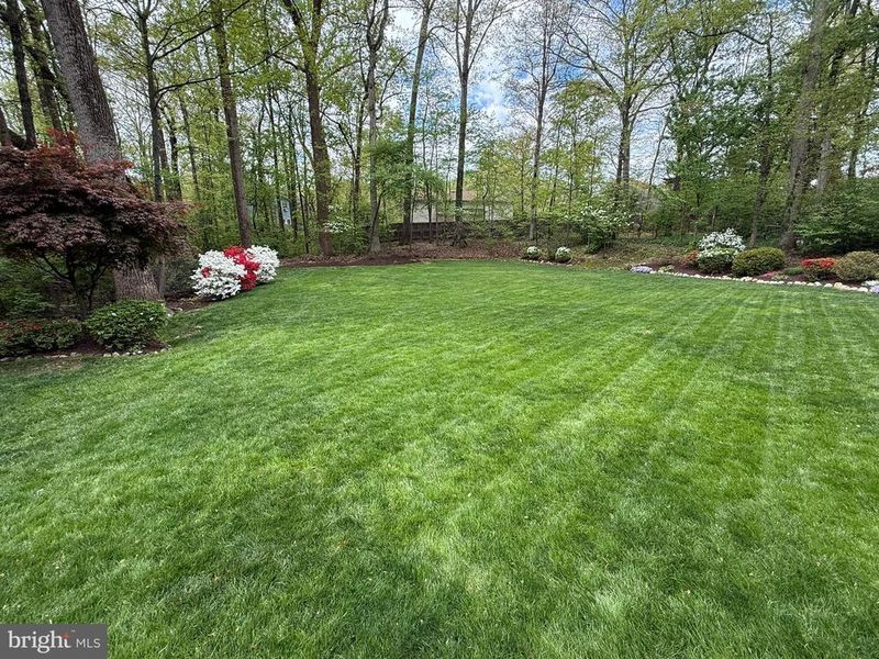 5810 Hall St, Burke, VA 22015