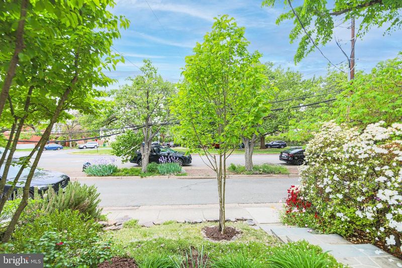 1107 Powhatan St, Alexandria, VA 22314