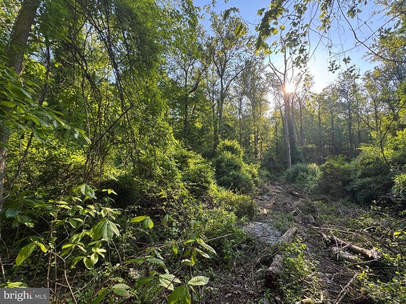 0 Edgemont Rd, Frederick, MD 21702