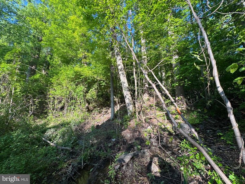 0 Edgemont Rd, Frederick, MD 21702