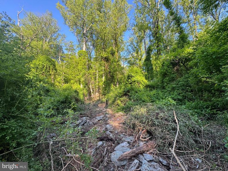 0 Edgemont Rd, Frederick, MD 21702