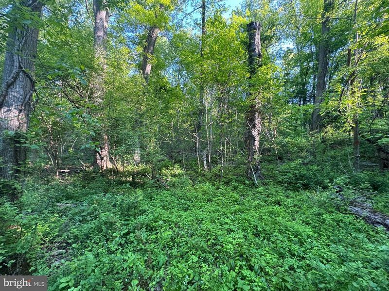0 Edgemont Rd, Frederick, MD 21702