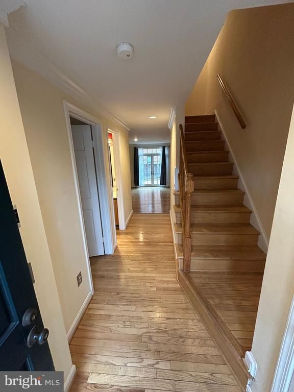 1202 W Abingdon Dr, Alexandria, VA 22314
