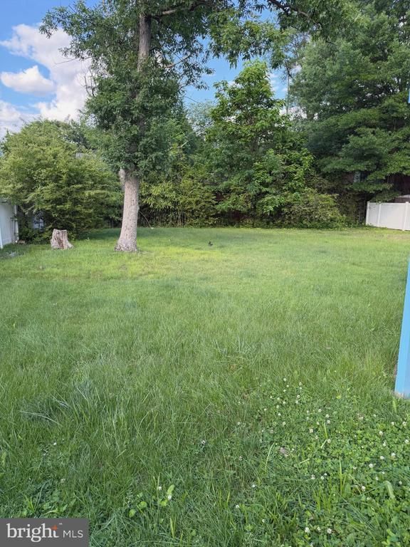 2705 Rosser St, Alexandria, VA 22311