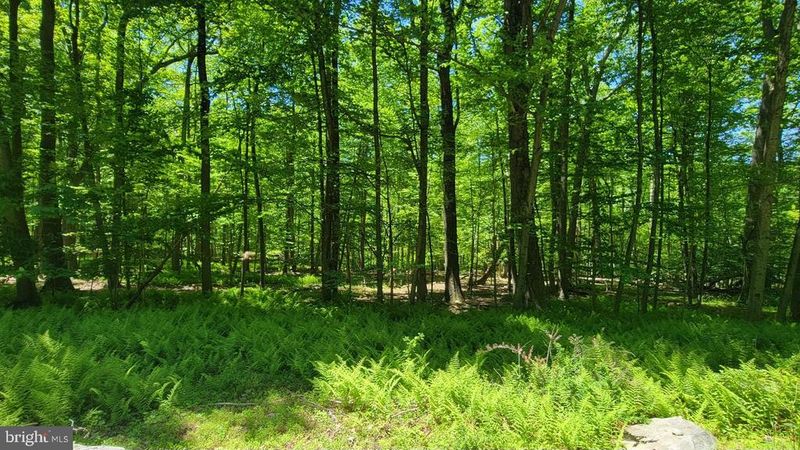 0 Mink Farm Rd, Thurmont, MD 21788