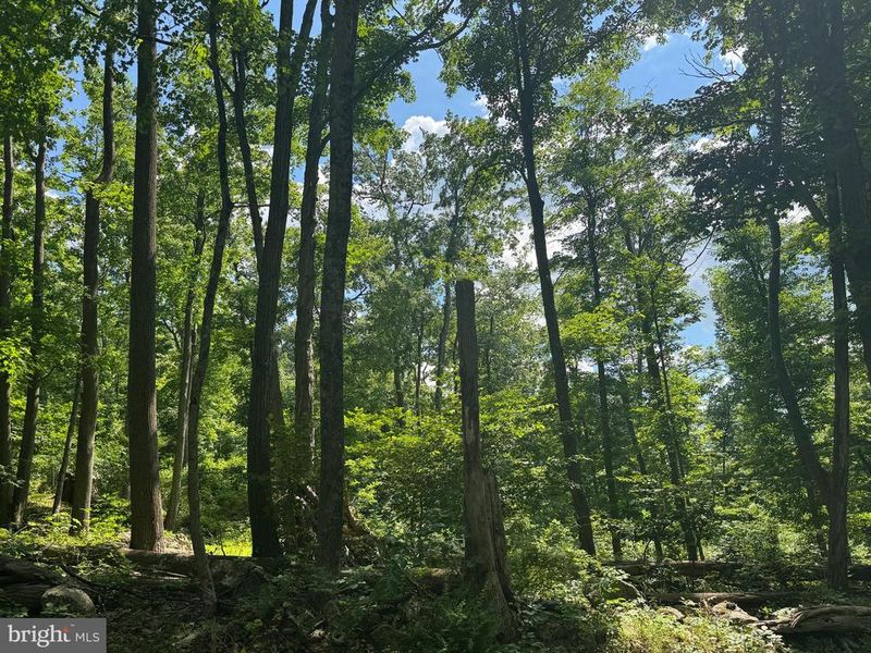 0 Middle Point Rd, Myersville, MD 21773