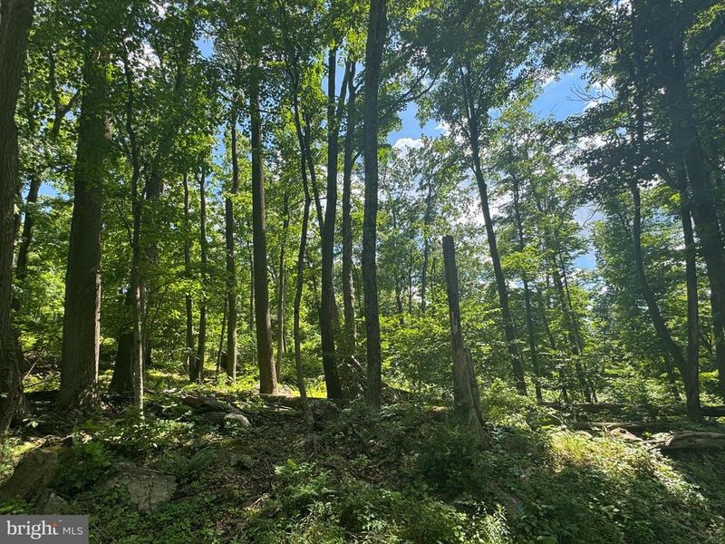 0 Middle Point Rd, Myersville, MD 21773