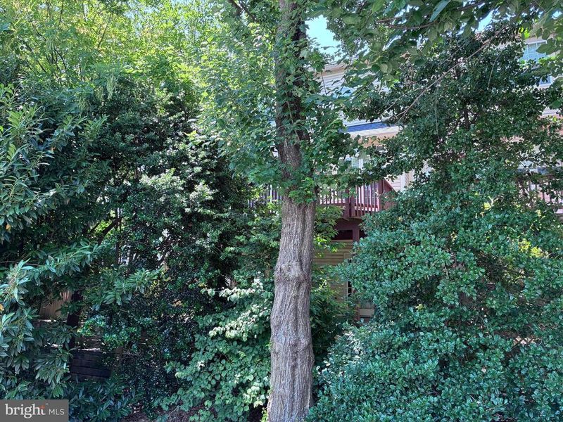 214 Halpine Walk Ct, Rockville, MD 20851