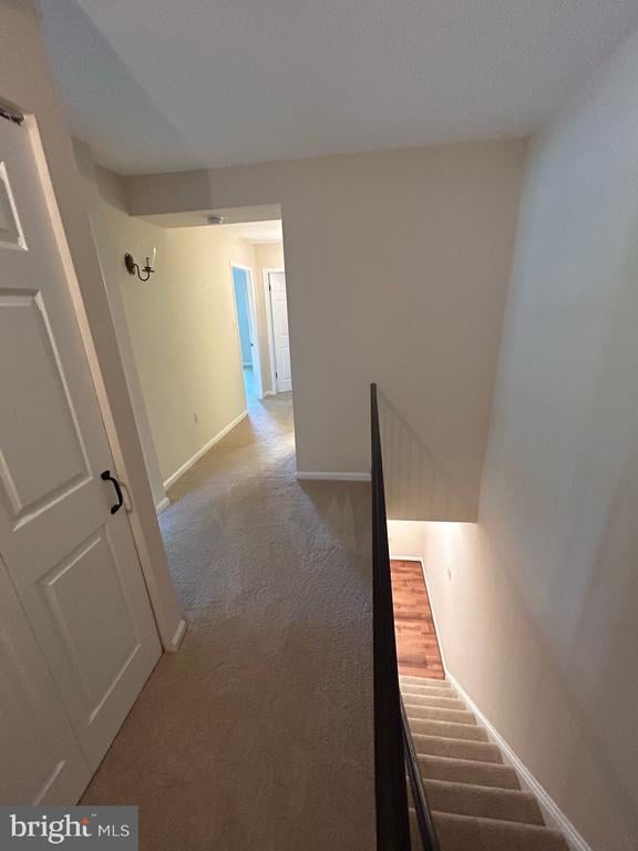 941 S Rolfe St #1, Arlington, VA 22204