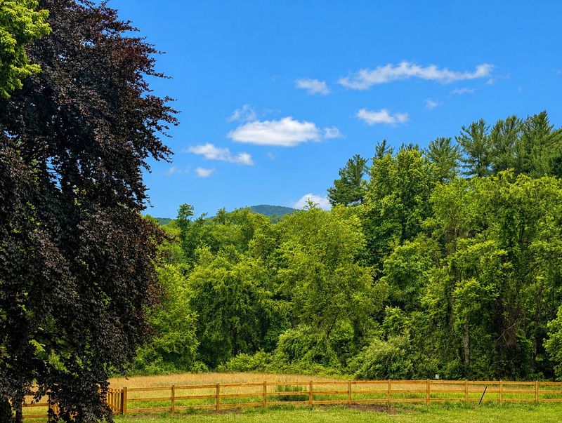 3100 Thurston Rd, Frederick, MD 21704