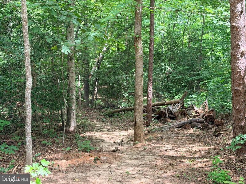 278 Richland Rd, Fredericksburg, VA 22406