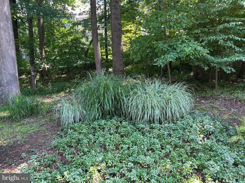 5323 High Wheels Ct, Columbia, MD 21044